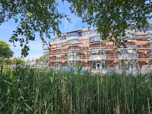 Project Vuurvlinderhof, Schiedam