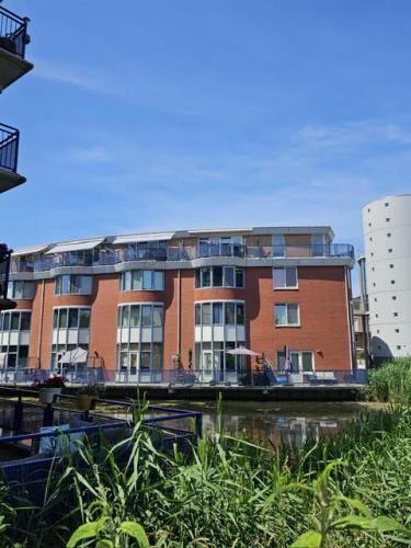 Project Vuurvlinderhof, Schiedam